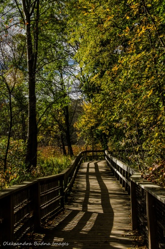 walking trail at Rattray Marsh in Mississauga