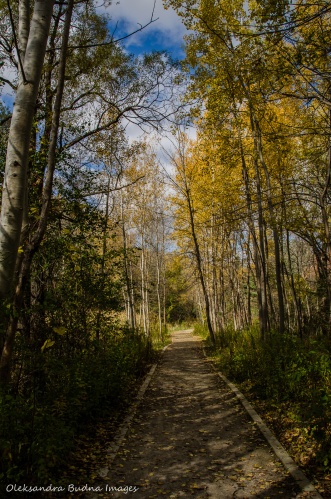 walking trail at Rattray Marsh in Mississauga