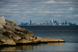 view of CN Tower across Lake Ontario from Jack Darling park in Mississauga