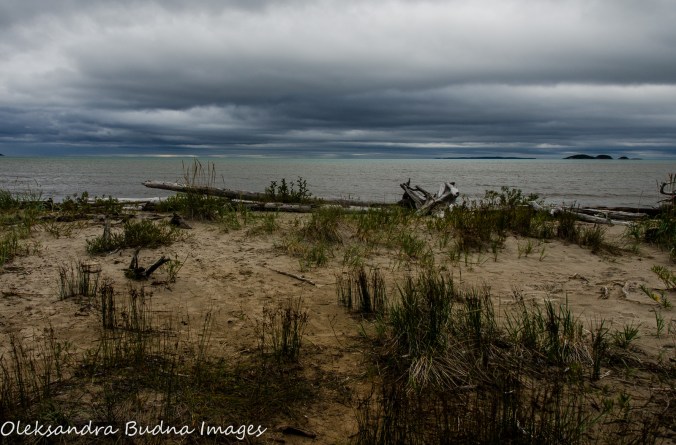 beach in Neys Provincial Park