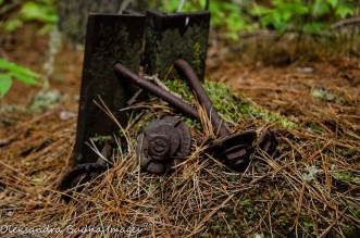 water tower remains in Neys Provincial Park