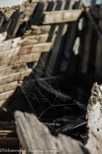logging boats remains in Neys Provincial Park
