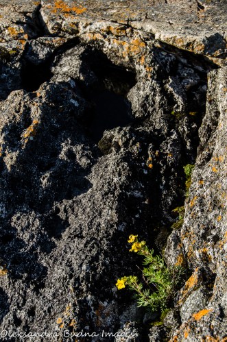 volcanic rock in Neys Provincial Park
