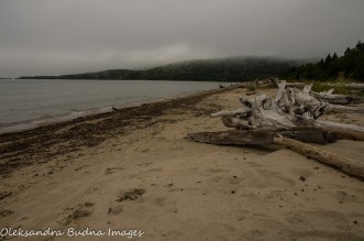 foggy morning o the beach in Neys Provincial Park