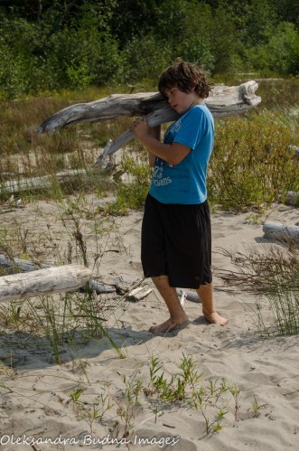 carrying driftwood in Neys Provincial park