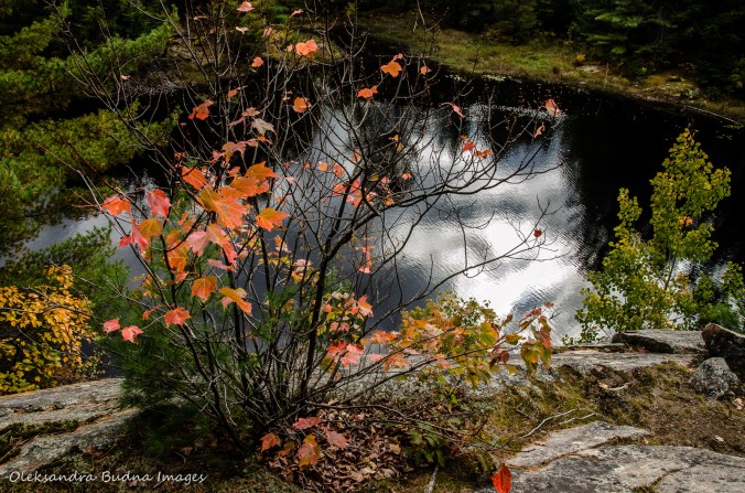 Amber Lake on Fire Tower Trail in Restoule