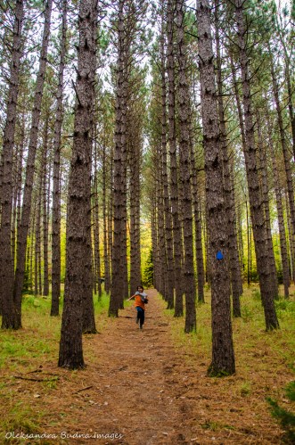 Fire Tower Trail in Restoule Provincial Park
