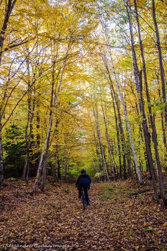 Angels Point Trail in Restoule