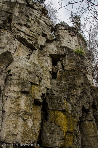 limestone cliffs at Rattlesnake Point