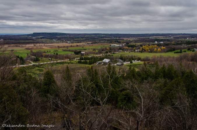 view of Lowville Valley from Pinnacle Lookout at Rattlesnake Point