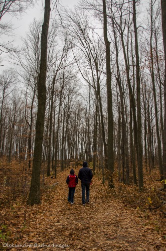 Walking through the woods at Rattlesake Point Conservation Area