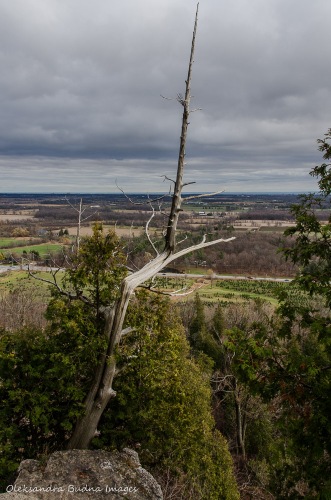 View from Nelson Lookout at Rattlesnake Point