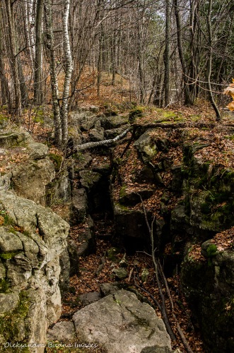 crevices at Rattlesnake Point