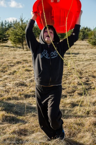 playing with a sled at Elliott Tree Farm