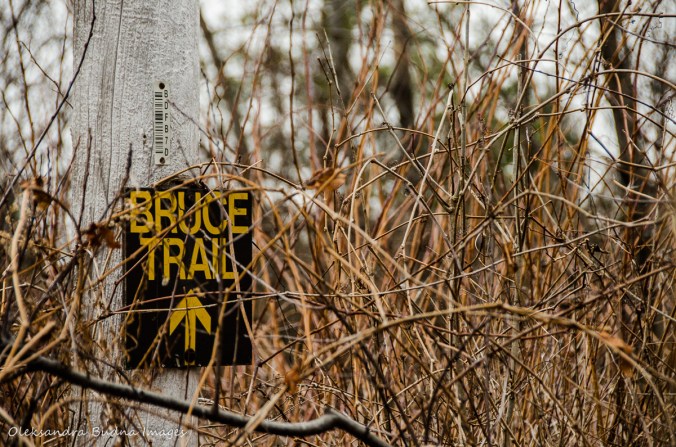 Bruce trail marker at Forks of the Credit Provincial Park