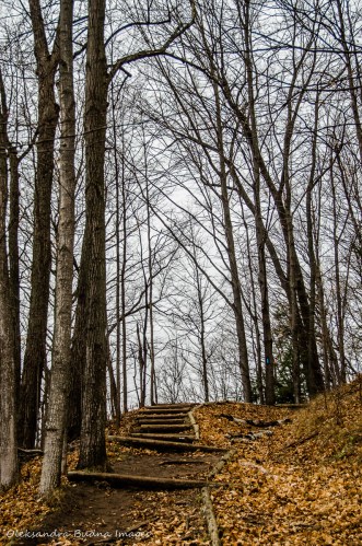 hiking trail at Forks of the Credit Provincial Park
