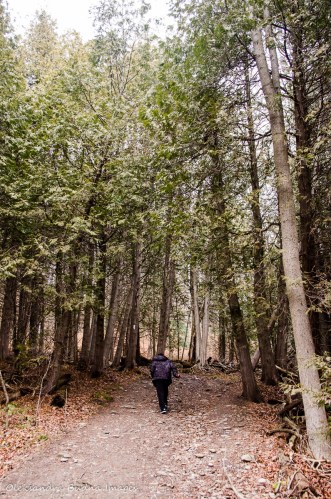 hiking at Forks of the Credit Provincial Park