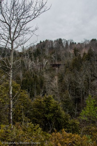 Credit River gorge at Forks of the Credit Provincial Park