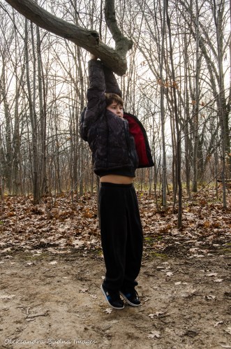 child hanging off a tree branch
