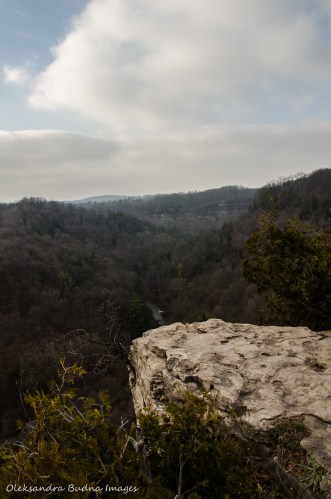 HamiltonWaterfalls-42