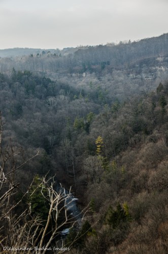 view of Spencer Gorge from Dundas Peak