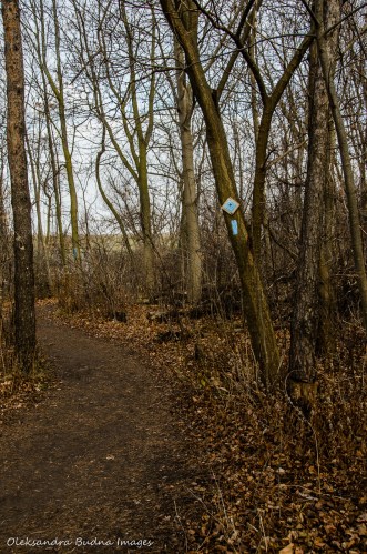 Spencer Adventure Trail near Dundas, Ontario