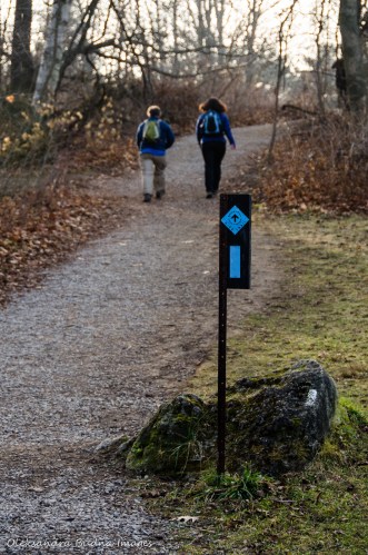 Spencer Adventure Trail near Dundas, Ontario