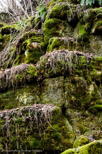 Mono Cliffs Provicial Park