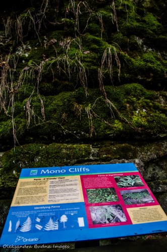 Mono Cliffs Provicial Park