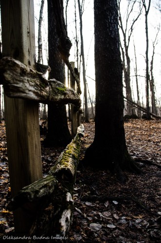 wooden fence at Mono Cliffs Provicial Park