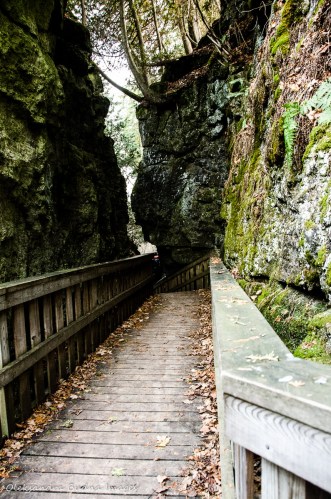 Jacob's Ladder at Mono Cliffs Provicial Park