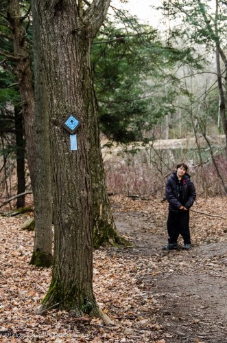 hiking at Mono Cliffs Provicial Park