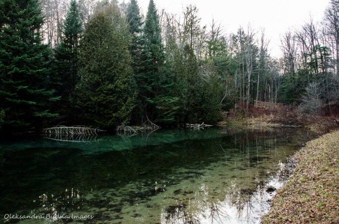 pond at Mono Cliffs Provicial Park