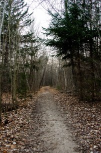 trail at Mono Cliffs Provicial Park