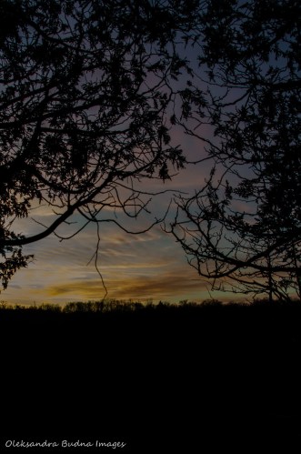 Mono Cliffs Provicial Park