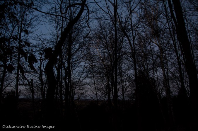 nightfall at Mono Cliffs Provicial Park