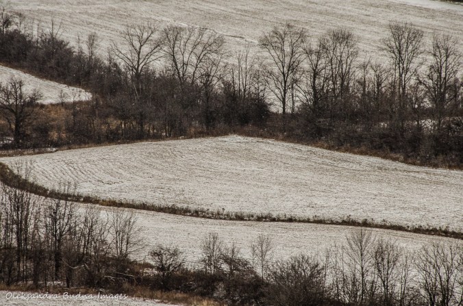 snow covered fields