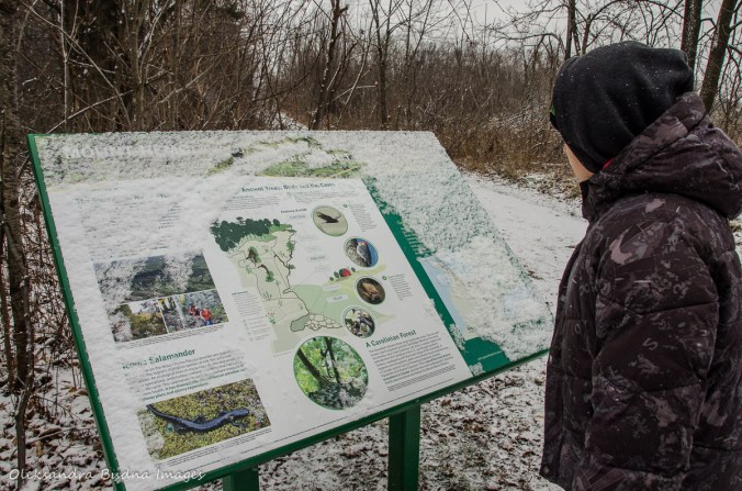 reading an information panel at Mount Nemo