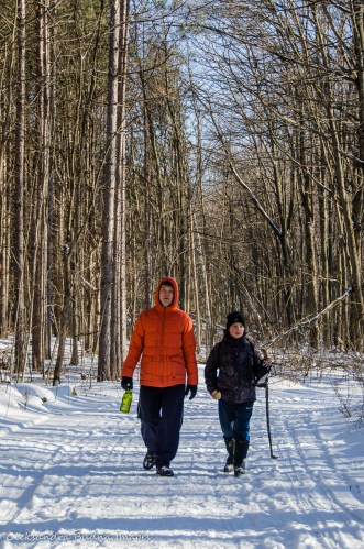 winter walk at Hilton Falls Conservation Area