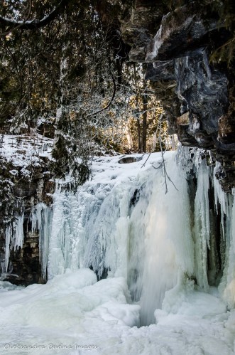 Hilton Falls in the winter