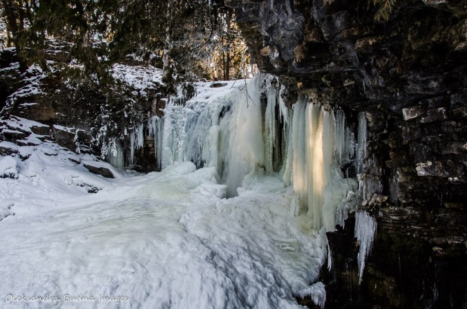hilton falls in the winter