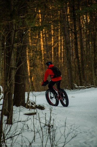 fatbiking at Hilton Falls Conservation Area