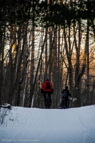 fatbiking at Hilton Falls Conservation Area