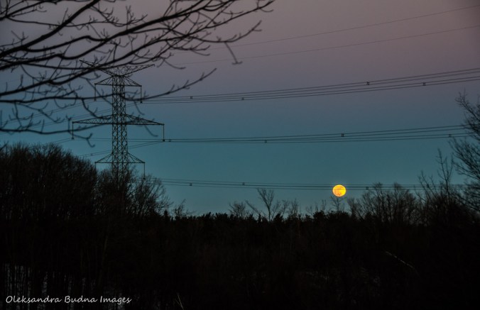 full wolf moon and electrical wires