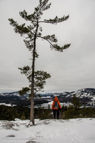 on top of the Crack in Killarney in the winter