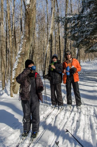 skiing in Allegany State Park
