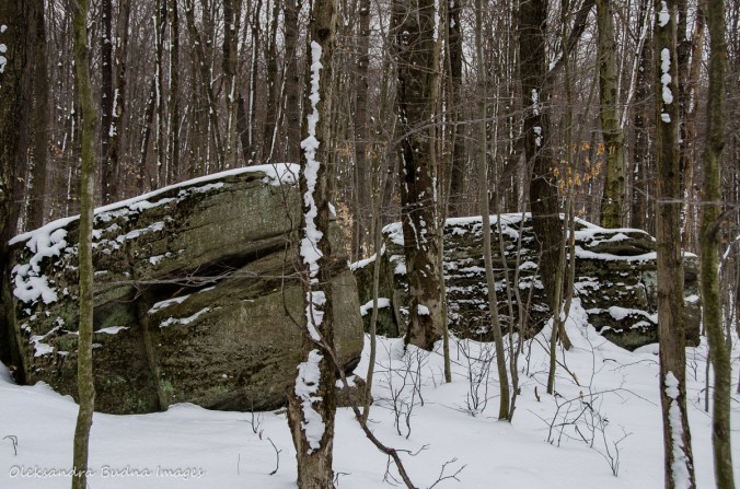 rocks at Allegany State Park
