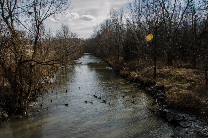 Mimico Creek in West Deane Park