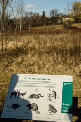 information panel at West Deane Park