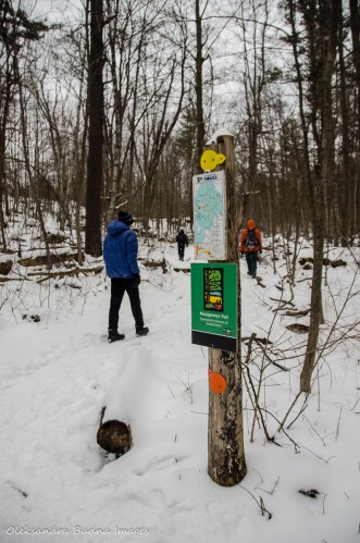 hiking at Crawford Lake Conservation Area
